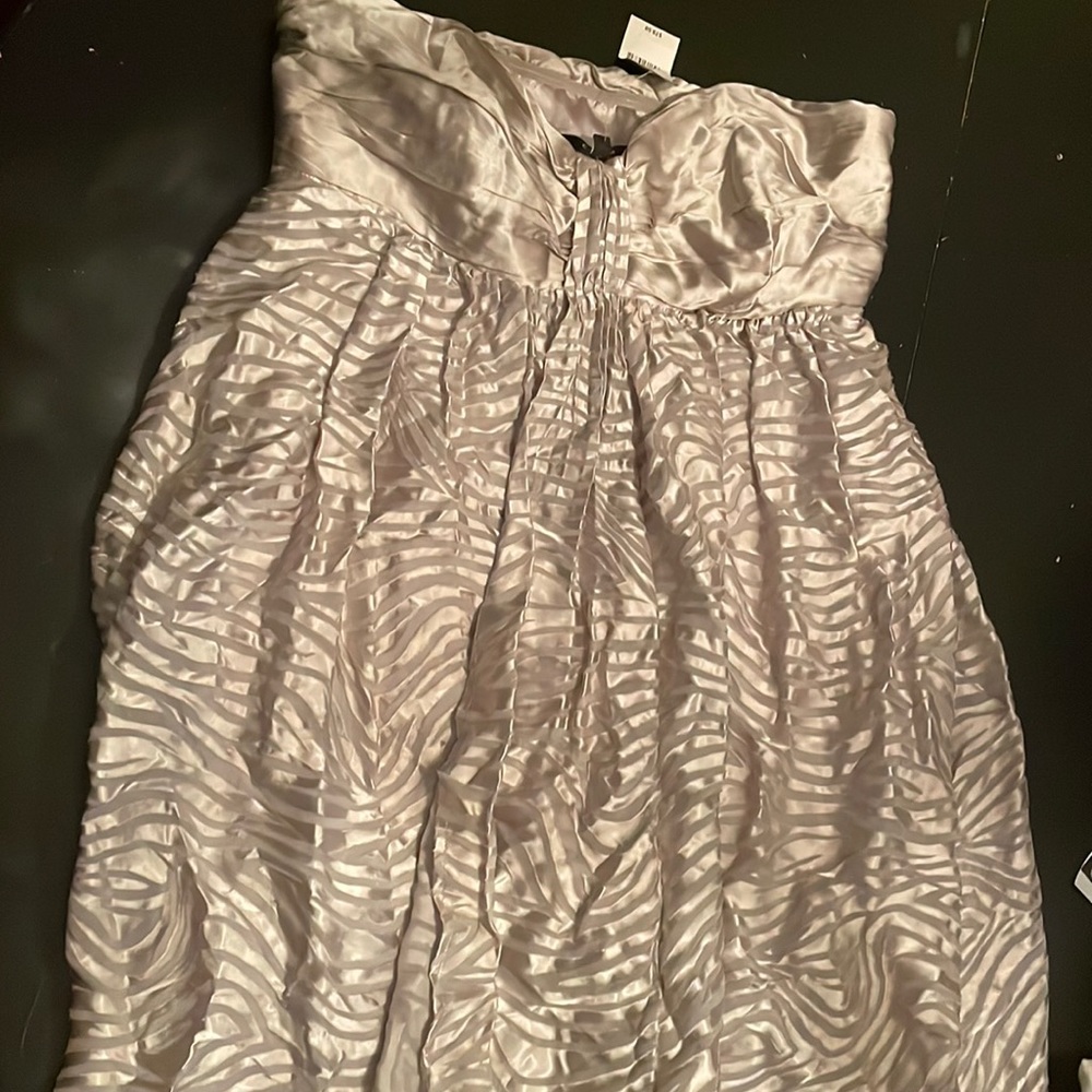 Express Silver Strapless Dress